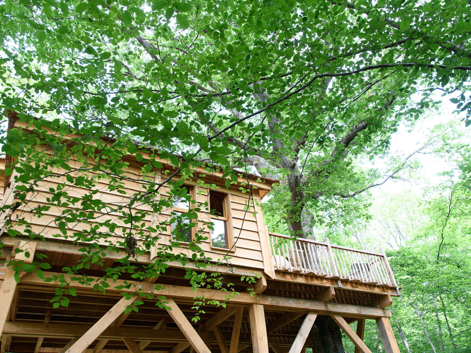 Cabanes des Blots séjour insolite proche Paris Cabane aux Oiseaux Extérieur 4